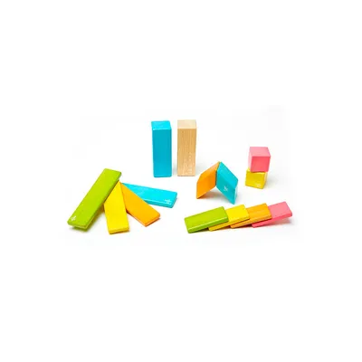 Tegu Magnetic Wooden Blocks Set